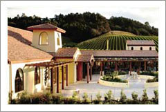 Award Winning New Zealand Vineyard, Winery, and Restaurant For Sale - Matakana, Auckland, New Zealand - Wine Real Estate
