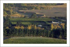 Waipara Valley, New Zealand - Vineyard & Winery For Sale