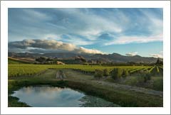 New Zealand Vineyard For Sale - Marlborough, South Island, New Zealand  - Wine Real Estate