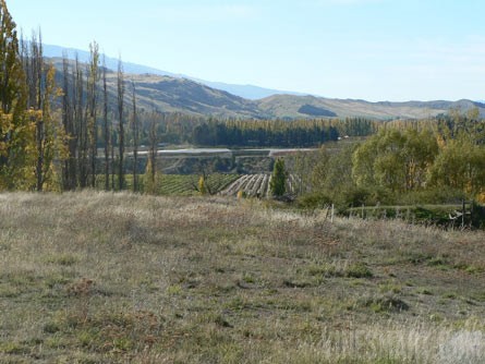 Central Otago Vineyard Land Property For Sale By Tender - Wine Real Estate