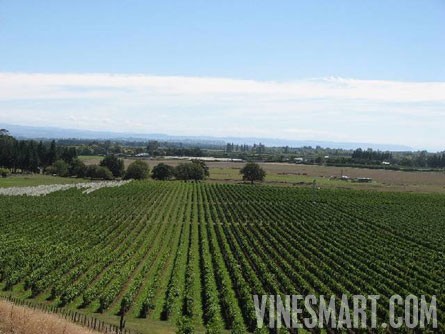 Havelock-North, Hawkes Bay, New Zealand - Striking Home, Amazing Views, and Vineyard of Distinction For Sale -  Wine Real Estate