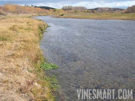 Taradale, Hawkes Bay, New Zealand - 28 Acres - Successful Vineyard Nusery Business For Sale - Wine Real Estate