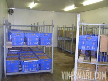 Taradale, Hawkes Bay, New Zealand - 28 Acres - Successful Vineyard Nusery Business For Sale - Wine Real Estate
