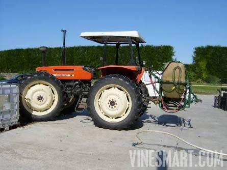 Taradale, Hawkes Bay, New Zealand - 28 Acres - Successful Vineyard Nusery Business For Sale - Wine Real Estate