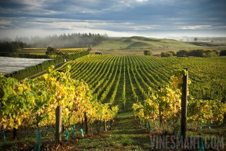 Luxury Homes  Sale on Hawkes Bay New Zealand Real Estate