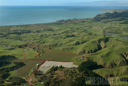 NZ Vineyard & Luxury Lodge Property - Huge Potential - Tiki Tiki Hills, Hawkes Bay, New Zealand - Wine Real Estate
