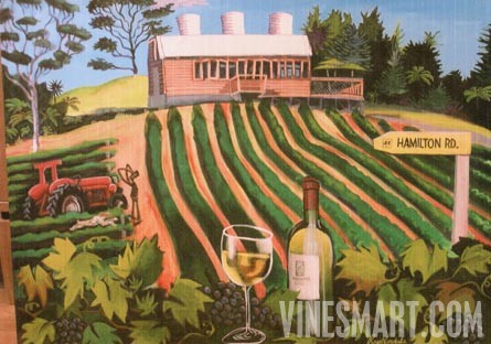 Matakana Winery and Vineyard Property For Sale
