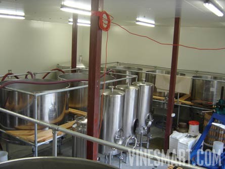 Matakana Winery and Vineyard Property For Sale