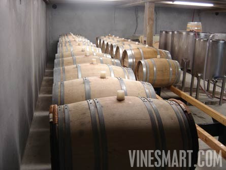 Matakana Winery and Vineyard Property For Sale