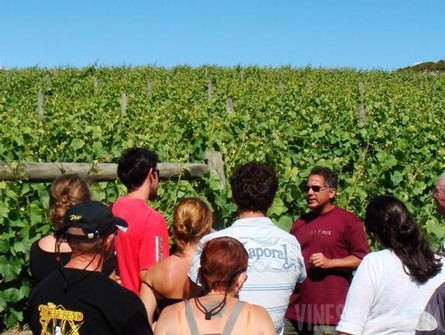 Award Winning Winery, Vineyard, and Home For Sale - Nelson, NZ - Wine Real Estate