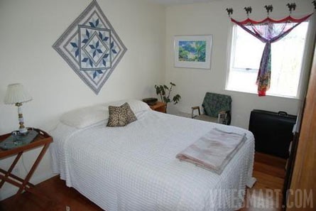 Award Winning Winery, Vineyard, and Home For Sale - Nelson, NZ - Wine Real Estate