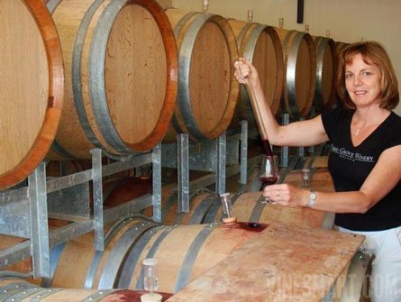 Award Winning Winery, Vineyard, and Home For Sale - Nelson, NZ - Wine Real Estate