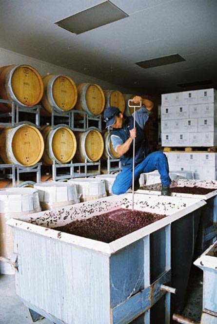 VineSmart - New Zealand Vineyard, Winery, Home, and Olive Grove For Sale - Marlborough, South Island, New Zealand  - Wine Real Estate