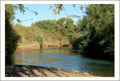 VineSmart - 71 Acre River-Front Farm, Orchard, and House For Sale - Mendoza, Argentina - Wine Real Estate