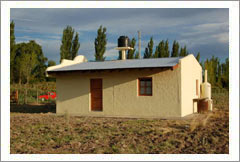 VineSmart - 25 Acres with House, Pears, Olives & Fallow Land for Sale - Mendoza, Argentina - Wine Real Estate