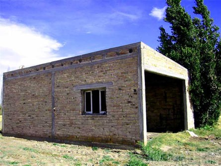 VineSmart - 16 Acre Finca and Plum Orchard For Sale - Mendoza, Argentina - Wine Real Estate