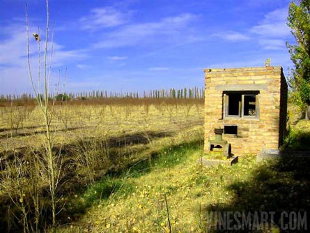 VineSmart - 16 Acre Finca and Plum Orchard For Sale - Mendoza, Argentina - Wine Real Estate