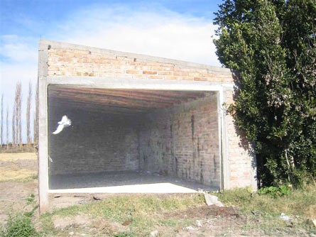 VineSmart - 16 Acre Finca and Plum Orchard For Sale - Mendoza, Argentina - Wine Real Estate