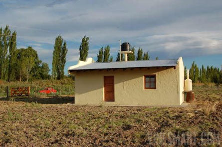 VineSmart - 25 Acres with House, Pears, Olives & Fallow Land for Sale - Mendoza, Argentina - Wine Real Estate