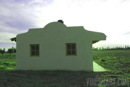 VineSmart - 25 Acres with House, Pears, Olives & Fallow Land for Sale - Mendoza, Argentina - Wine Real Estate