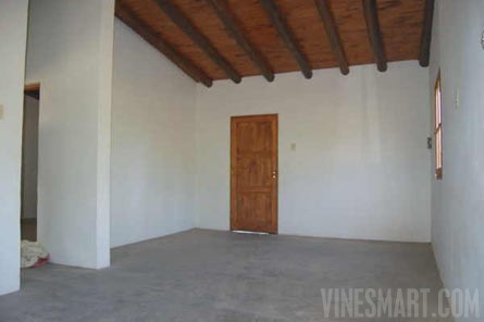 VineSmart - 25 Acres with House, Pears, Olives & Fallow Land for Sale - Mendoza, Argentina - Wine Real Estate