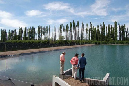 VineSmart - 85 Acres - 12 Acre Vineyard in Malbec & Cabernet For Sale - Mendoza, Argentina - Wine Real Estate