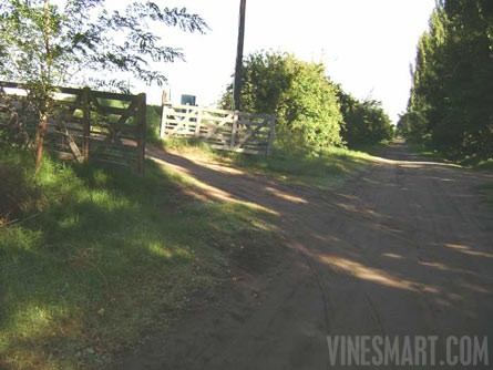 VineSmart - 85 Acres - 12 Acre Vineyard in Malbec & Cabernet For Sale - Mendoza, Argentina - Wine Real Estate