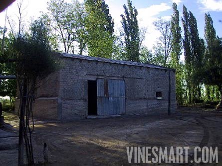 Argentina Wine Vineyard and Ochard For Sale - Wine Real Estate