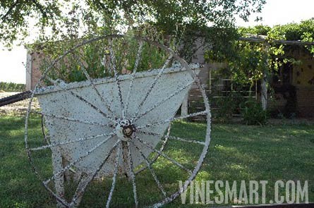 Fine Wine Vineyard For Sale, Mendoza, Argentina - Wine Real Estate