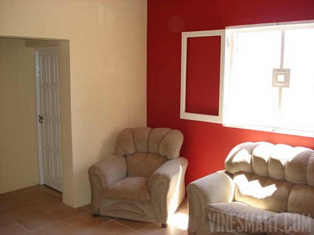VineSmart - 15 Acres with Home, Apricot Orchard and Plantable Land For Sale - Mendoza, Argentina - Wine Real Estate