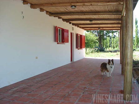 VineSmart - 15 Acres with Home, Apricot Orchard and Plantable Land For Sale - Mendoza, Argentina - Wine Real Estate