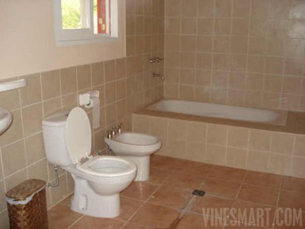 VineSmart - 15 Acres with Home, Apricot Orchard and Plantable Land For Sale - Mendoza, Argentina - Wine Real Estate