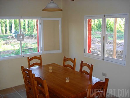 VineSmart - 15 Acres with Home, Apricot Orchard and Plantable Land For Sale - Mendoza, Argentina - Wine Real Estate