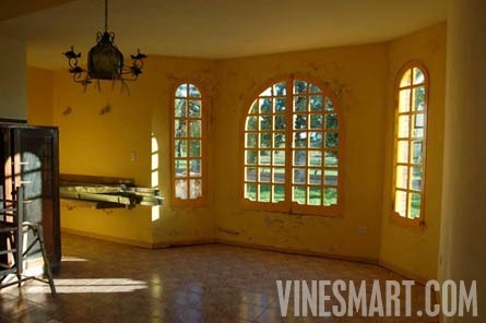 Argentina Organic Winey with Boutique Hotel/Restaurant and Vineyards - For Sale - Wine Real Estate