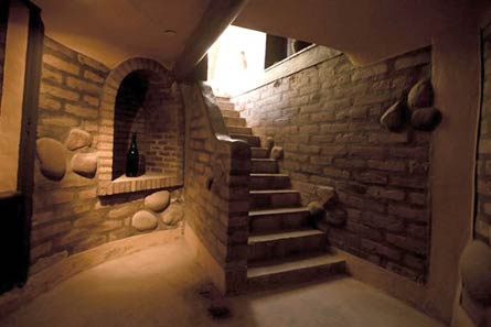 Argentina Organic Winey with Boutique Hotel/Restaurant and Vineyards - For Sale - Wine Real Estate