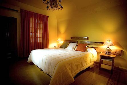 Argentina Organic Winey with Boutique Hotel/Restaurant and Vineyards - For Sale - Wine Real Estate