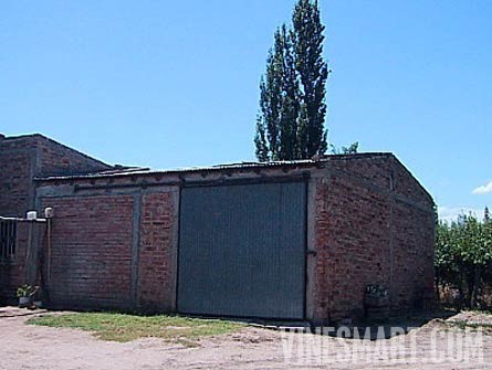 Mendoza, Argentina - Vineyard, Orchard, and Home For Sale - River Views - Wine Real Estate