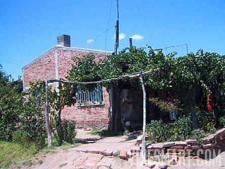 Mendoza, Argentina - Vineyard, Orchard, and Home For Sale - River Views - Wine Real Estate
