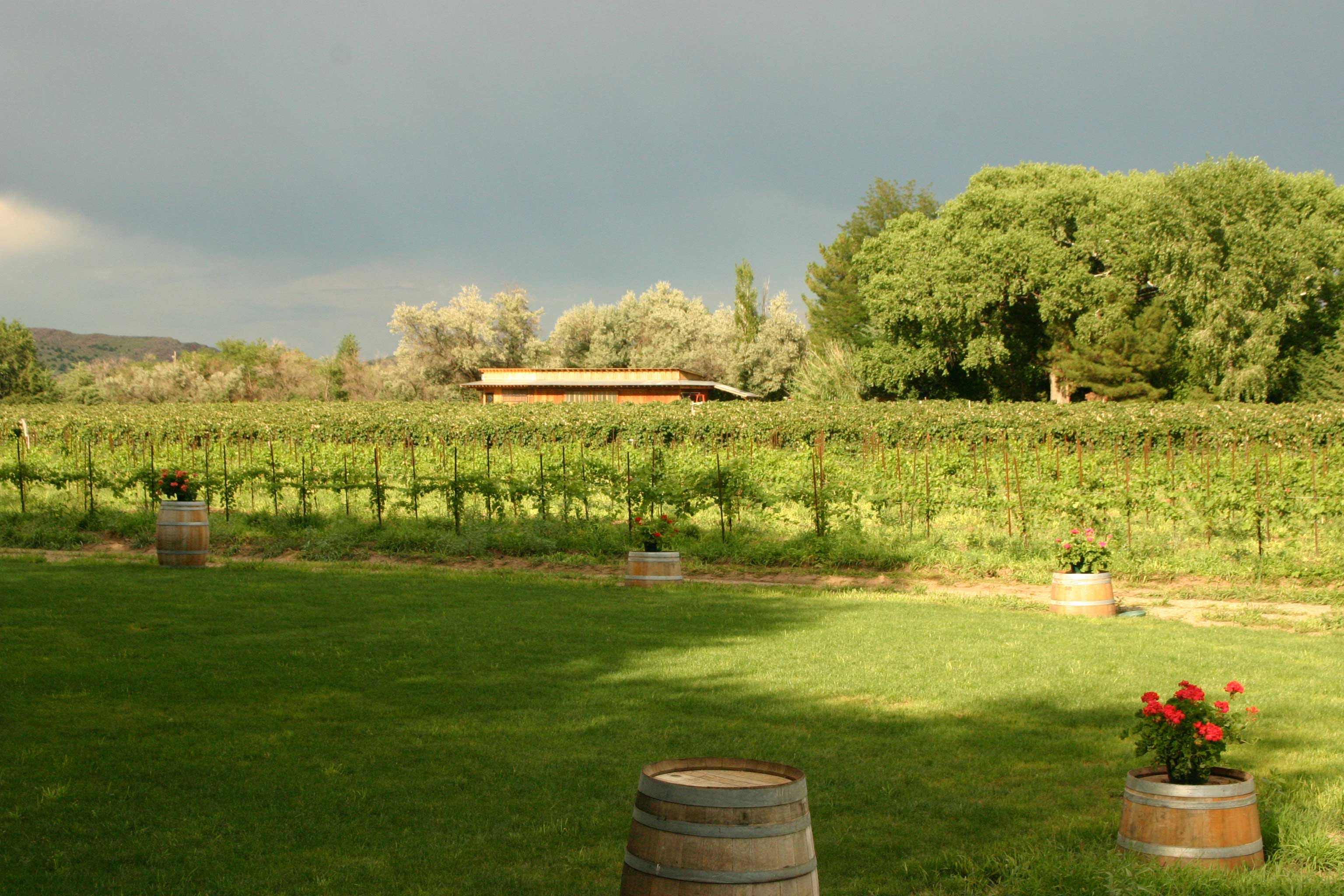 Index of /real_estate/listings/united_states/arizona/arizona_vineyards