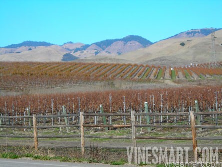 Edna Valley Vineyard Land 