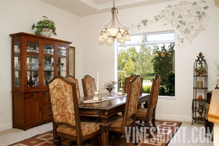 VineSmart -  San Luis Obispo, California - Edna Valley Pinot Noir Vineyard Estate For Sale - Wine Real Estate