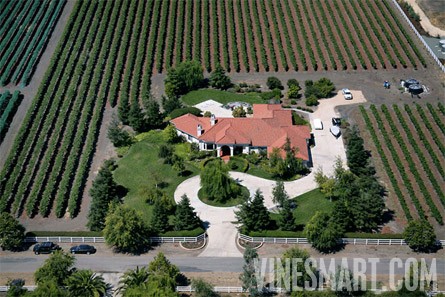 VineSmart -  San Luis Obispo, California - Edna Valley Pinot Noir Vineyard Estate For Sale - Wine Real Estate
