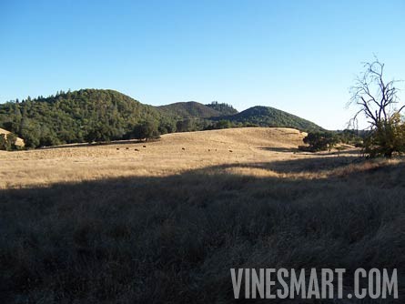 El Dorado County, California - Winery and Vineyard For Sale - French Valley
