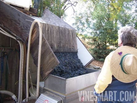 El Dorado County, California - Winery and Vineyard For Sale - Grape Crush