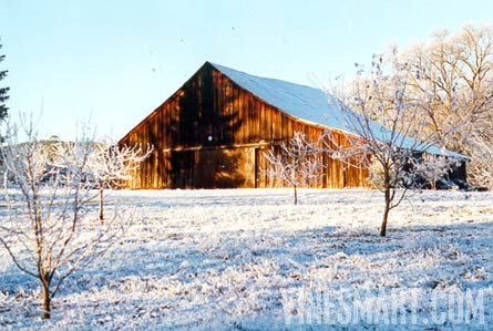 El Dorado County, California - Winery and Vineyard For Sale - Barn View Frosted