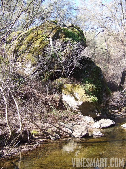 El Dorado County, California - Winery and Vineyard For Sale - Rock Outcroppings