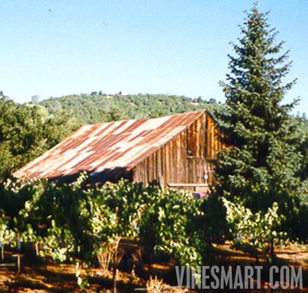 El Dorado County, California - Winery and Vineyard For Sale - Vineyard with Barn in Background