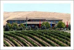 Southern Napa Valley Winery and Vineyard For Sale - Napa Valley, California - Wine Real Estate
