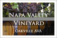 Napa Valley Vineyard For Sale - Oakville AVA - Wine Real Estate