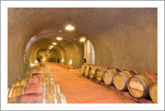 Napa Valley Vineyard and Winery For Sale - Wine Cave - Napa Valley - Wine Real Estate